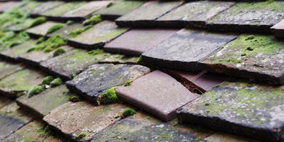 Little Meadle roof repair costs